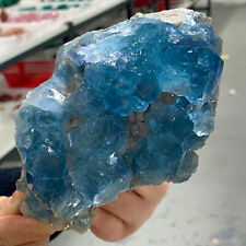 2.64LB Natural blue-green cubic fluorite crystal cluster mineral samples picture