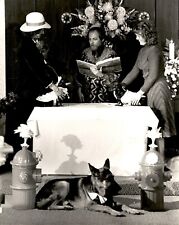 LAE3 Orig Garry A. Watson Photo ANIMAL WEDDING DOGS GET MARRIED OBSCURE STRANGE picture