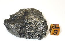 Dronino meteorite. Iron Ataxite (ungrouped) 142 grams. Individual. picture