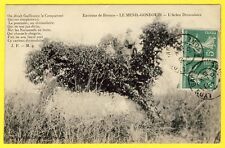 cpa RARE Normandy 61 - MENIL GONDOUIN (Orne) THE CAMEL TREE apple cider picture