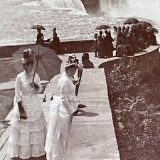 Antique 1880s Niagara Falls New York Scenic View Stereoview Photo Card P1889 picture