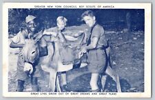 Postcard 1951 New York Council Boy Scouts Of America BSA Mule Signed Troop 241 picture