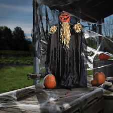Standing Shaking Pumpkin Reaper Halloween Decoration, Home Decor, 5' 6