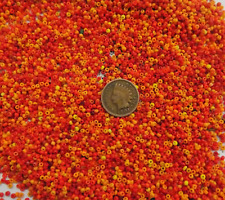 1/2# Pound Bulk Sunset Mix Antique African Seed Beads Venetian Trade V136 picture