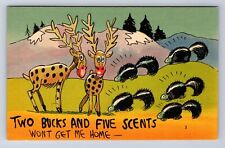 VINATGE TWO BUCKS AND FIVE SCENTS WONT GET ME HOME POSTCARD GV picture