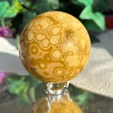 725G Amazing Druzy Ocean Jasper Orbicular Sphere Reiki Crystal Display Healing picture