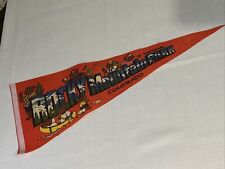 Vintage Rocky Mountain National Park Colorado Pennant picture