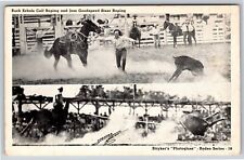 Cowboy Western~Buck Echols Calf Roping & Steer Roping~Vintage Postcard picture