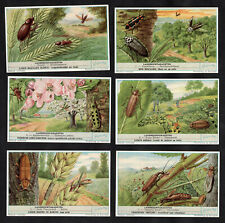 Parasite Insects In Agriculture Cards Set 1958 Liebig Beetles Crops Pests Farm picture