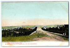 c1910 View of Oak Avenue Looking West Johannesburg South Africa Postcard picture