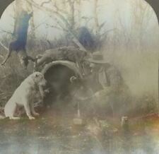 1920s HUNTER AT CAMPFIRE WITH DOG AND KILLED DEER HOLLOW LOG STEREOVIEW 20-34 picture