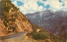 Sequoia National Park Union Oil Company Sierra Nevada CA California Postcard picture