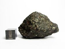NWA x CV3 27.90g Desert Varnished Carbonaceous Chondrite Meteorite picture