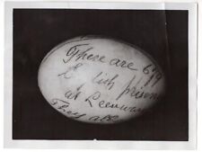 WWI British Internees Holland Smuggle Out Message on Egg Original News Photo picture