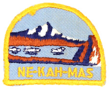 Vintage Ne-Kah-Mas District Columbia Pacific Council Patch Gauze Back OR WA BSA picture