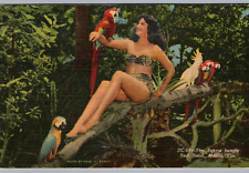 Miami, FL Postcard Red Road Parrot Jungle Linen Beautiful Lady Bikini Women bird picture