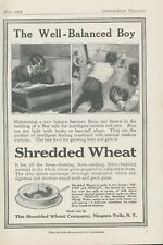 1915 Shredded Wheat Balance Brain Brawn Baseball Game Student Vtg Print Ad CO1 picture
