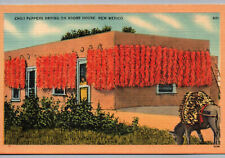 Postcard Native American Drying Chili Adobe House New Mexico Vintage Linen Card picture
