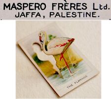 1920 PALESTINE Israel CIGARETTE POP UP CARD Lithograph FLAMINGO Tobacciana JAFFA picture