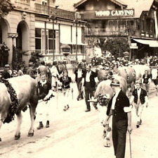 c.1940 Interlaken Switzerland RPPC Hotel St. Georges Street View Parade Native picture