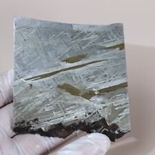 131g Muonionalusta meteorite,Natural meteorite slices,Collectibles,gift L26 picture
