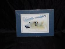 Steve Cross Fairbanks Alaska Polar Bear Art Card Signed Numbered Matted New picture