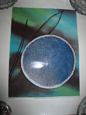 3 vtg photo prints, Dicalite Diatom collection 1000x microscope images, 11 x 14 picture