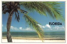 Postcard FL Florida Sunshine State Tropical Paradise Beach Vacations Palm Tree picture