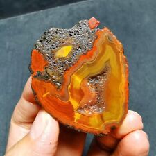RARE 48.9g Natural Warring States Red Agate Crystal Healing 42A11 picture