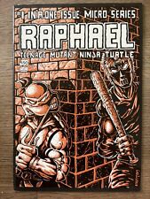 Raphael Teenage Mutant Ninja Turtles 1 picture