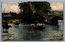 Postcard Main Street Bridge Cattle People Keene New Hamphire c1910 Unposted picture