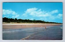 Hilton Head Island SC-South Carolina, Sea Pines Plantation, Vintage Postcard picture