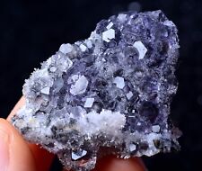 31g Newly DISCOVERED RARE PURPLE FLUORITE & CRYSTAL SYMBIOTIC MINERAL SPECIMEN picture