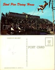 New Jersey Atlantic City Steel Pier Diving Horse Lady Crowd Vintage Postcard picture