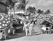 1939 Outdoor Dining, Miami Beach, Florida Vintage Old Photo 8.5
