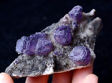 111.67g Newly DISCOVERED NATURAL RARE PURPLE CUBIC FLUORITE  MINERAL  SPECIMEN picture