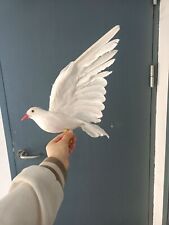 white foam&feather simulation wings pigeon dove bird model  gift about 30x50cm picture