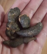 Manure Dinosaur Coprolite Ancient Rock Hard Fossil  Poop Dung Poo Prank  picture