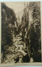 Antique 1927 Capilano Canyon, Vancouver, BC Postcard picture