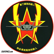 USAF 65th AGGRESSOR SQ -F-35-AGGRESSOR LIGHTNING DRIVER-CHINESE-PVC VEL PATCH picture