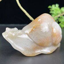 3.7 in Chalcedony Jasper Snail, Nice Snail Crystal Carving, Cute Snail Carvings picture