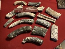 Large Lot Fossilized Whale and Large Dugong Ribs Encrusted FOSSIL Florida picture