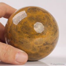 505g71mm Large Natural Ocean Jasper Quartz Crystal Sphere Healing Ball Chakra picture
