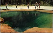 c1950s Yellowstone National Park Postcard 