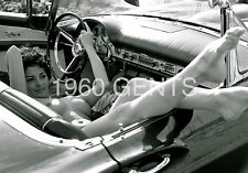 1950s Artistic Photo Print Big Breasts Brunette Marya Linero Art ML8 picture