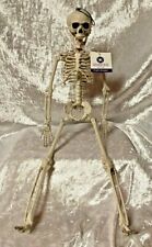 Halloween Skeleton 16