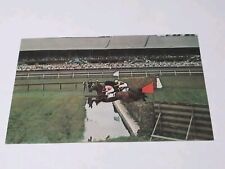The Steeplechase Saratoga Race Track New York Horse Racing Vintage Postcard  picture