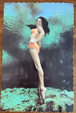 Florida's Weeki Wachee Lovely Mermaid Underwater Scalloped Post Card 1981 picture