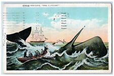 1934 Exaggerated Sperm Whaling The Captures Boat New Bedford MA Posted Postcard picture