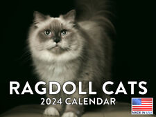 Ragdoll Cat 2024 Wall Calendar picture